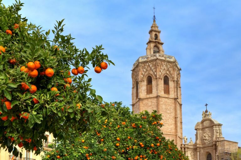 Hyrox Valencia 2026 768x512